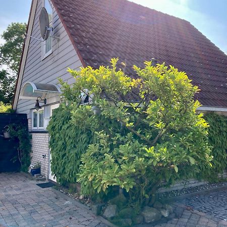 Gudrun 5 Pers Equipped House With Sauna. Dogs Are Welcome! Anjum Extérieur photo