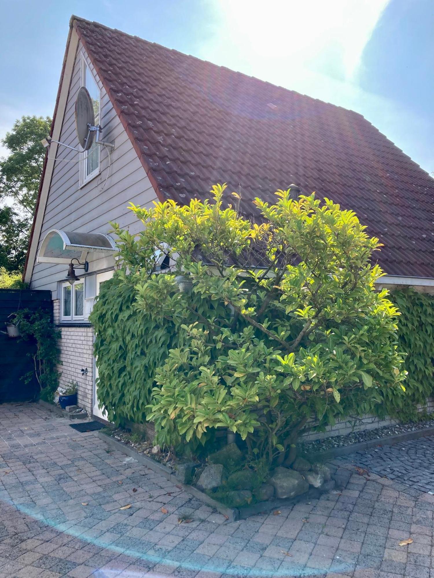 Gudrun 5 Pers Equipped House With Sauna. Dogs Are Welcome! Anjum Extérieur photo